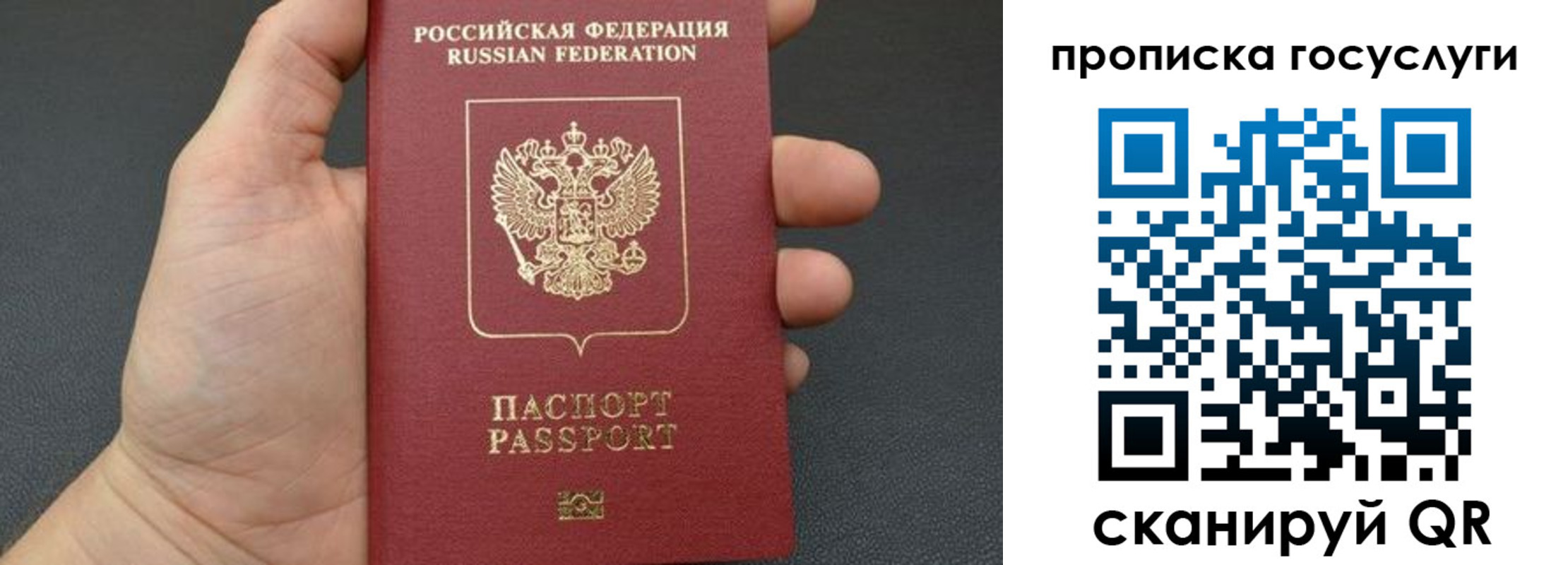купить прописку в Калининграде